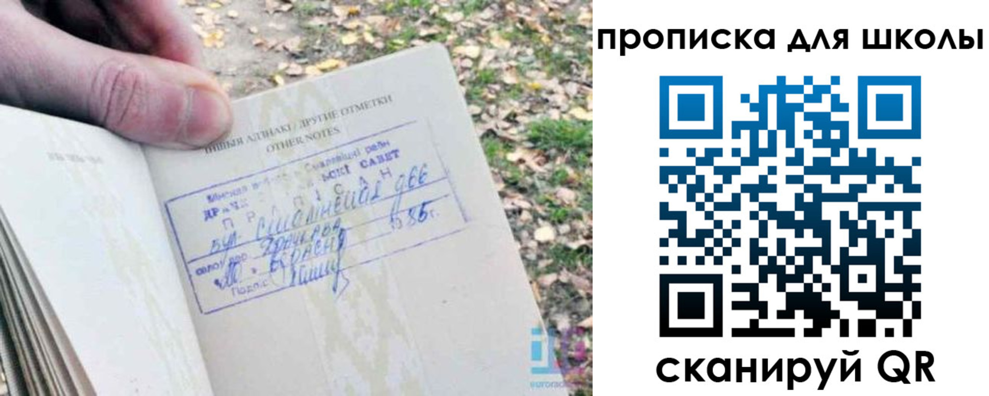 временная регистрация надежно в Ржеве